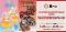 新春特別企画！人気アニメのWコラボ 魚べいで『ひみつのアイプリ』＆『最強王図鑑～The Ultimate Tournament～』の景品がもらえるキャンペーン開催