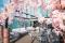 昨年好評だったSAKURA Terrace Cafe ＆ Barが今年もオープン！