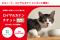 保護猫スポンサーシップ「ネコノート」、ロイヤルカナン ジャポン合同会社と提携！保護猫へ良質なごはんを届ける投げ銭チケット「ロイヤルカナン特別チケット」を6月24日より提供開始