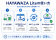海外の会計業務を革新する無償ツール「HAYAWAZA Lite」をリリース