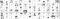 能登半島地震の被災地　珠洲市・輪島市で、小中学生～大人が“自分を見つめた”自画像200点以上が集結「2024年-2026年の能登の自画像教室展」