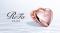 シャンプー時にも、ドライヘアにも。頭⽪をほぐし、毎日を整える。 「ReFa HEART SCALP（リファハートスカルプ）」2026年9月9日（水）新発売