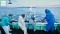 高校生・大学生向け 海の体験と未来づくりツアー 「さかなたび」秋の北陸ツアー（富山）2026開催決定！参加者募集開始