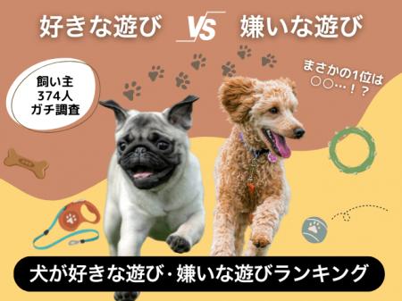 【飼い主374人に調査】犬が好きな遊び・嫌いな遊びTOP