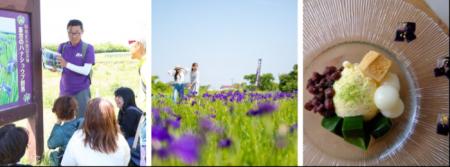 初夏限定！花の都「斎宮」を巡るノハナショウブ満喫ツ