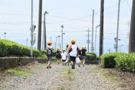 【狭山茶の故郷で育つ！】入間市立新久小学校が茶摘み