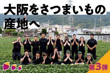 大阪初【大型さつまいも熟成庫】の導入クラウドファン