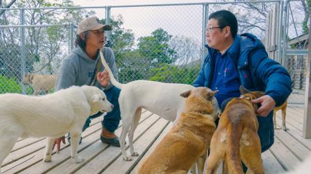 濱友株式会社が保護犬・保護猫「推し活」アプリでシェ