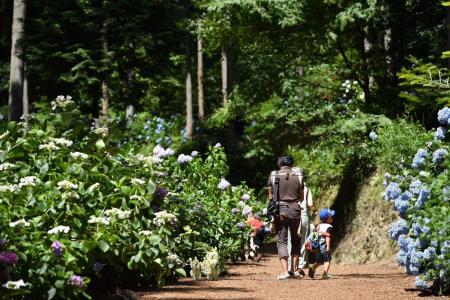 2025夏の東京国立公園エリアで起こる“都会を忘れる、