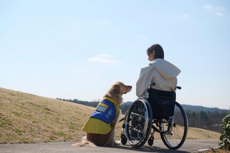 【無料オンライン開催】6月22日（日）「介助犬相談会