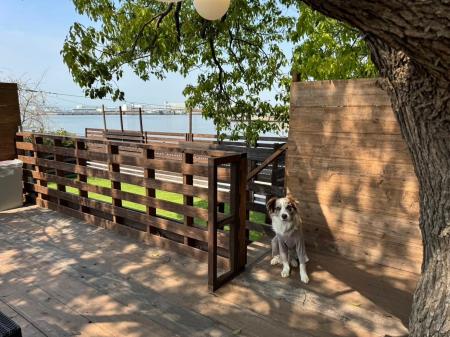 泉大津市なぎさ公園NATURAL DOG PARKに2025年5月新し