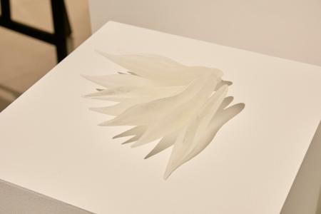 miratap Art Award / Art in the House 2025 受賞者発