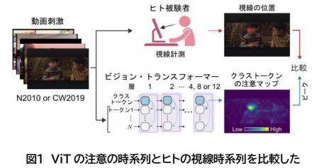 【大阪大学】人工知能が人と同じ視線を獲得したutf-8