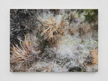 【埼玉県】企画展「Nerhol（ネルホル）」及び関連イベ