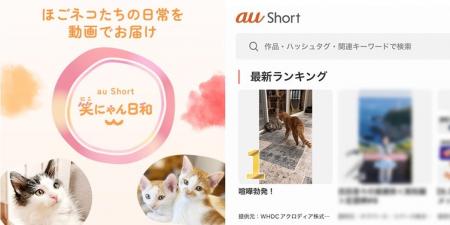 当社完全子会社WHDCアクロディアの保護猫応援プロジェ