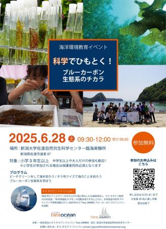 科学で読み解く、佐渡の海のチカラ -ブルーカーボンっ