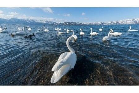 「ふるなび」で、北海道弟子屈町のふるさと納税業務代