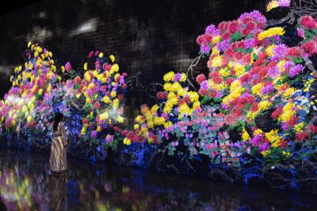 チームラボ、シンガポールの常設展「teamLab Future W