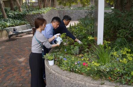 日比谷公園でのSynecocultureTM 春の植栽実施のお知ら