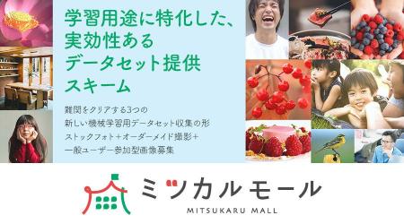 イメージナビ、AI学習用途に特化した実効性あるデータ