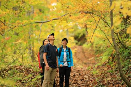 秋の行楽におすすめ！2025年秋の紅葉ツアーを「日本の