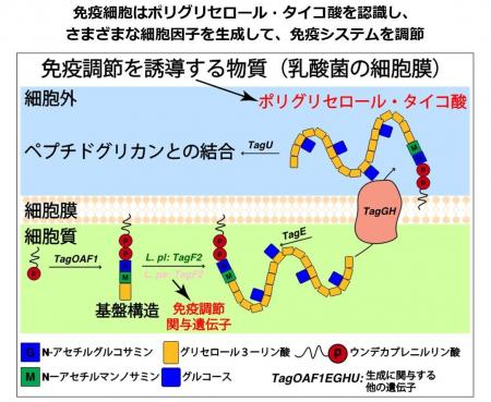 ぐるなび・東京科学大学「ぐるなび食の価値創成共同研