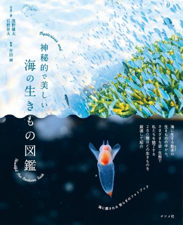 非日常の世界に浸る、大人のための癒しの図鑑『神秘的