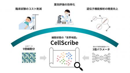 生成AIによる細胞地図が新薬の「薬効と副作用」を精密