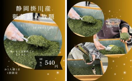 ＜静岡＞6月の土日は「道の駅伊豆のへそ」へ静岡utf-8