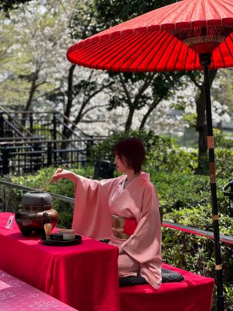 夏の野外で楽しむ本格茶道体験、暑い夏でも楽しめる「