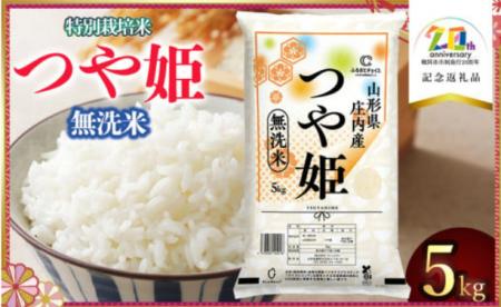 山形県鶴岡市とふるさとチョイス、市制施行20周年を記
