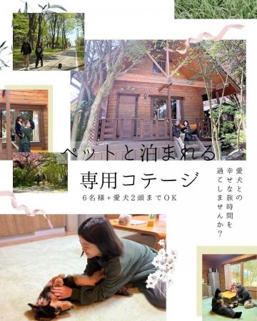 自然と、愛犬と。リゾートで心ほどけるログコテージス