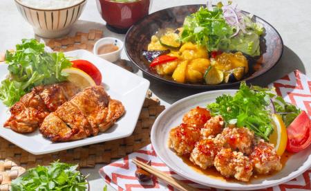 初夏の食欲を刺激するスパイシーな『エスニックグルメ