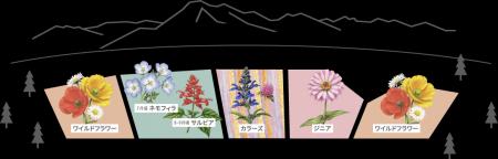 10ヘクタール100万株の広大な花畑「八ヶ岳ガーデンプ