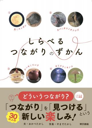 いろいろなつながりを発見しよう！世の中にある「つな