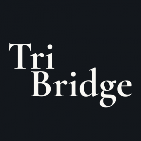 合同会社スターセールズ、社名を「株式会社Tri Bridge
