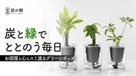 土の代わりに炭で育つ新感覚グリーン「炭の樹」6utf-8