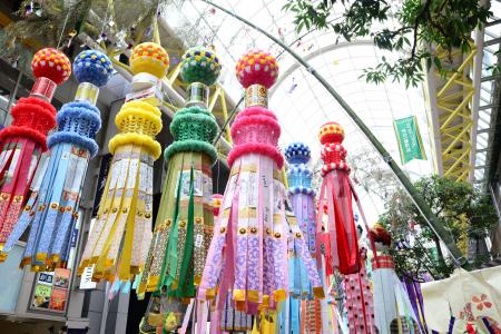『ハマる宮城』が選ぶフォトジェニック旅 最新ガイド