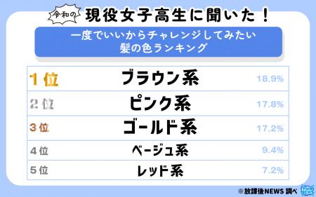 令和の女子高生に聞いた！一度でいいからチャレンジし