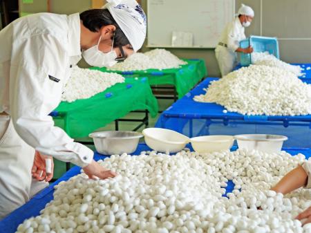 【パーソルダイバース】障害のある社員が302キロの繭