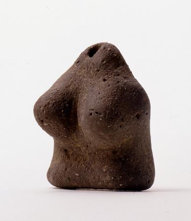 特別展「古代ＤＮＡ―日本人のきた道―」　名古屋市科学