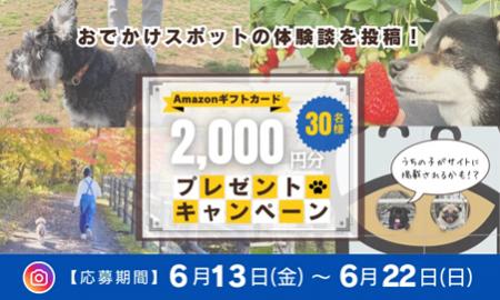 抽選でAmazonギフトカードが当たる！「休日いぬ部」、