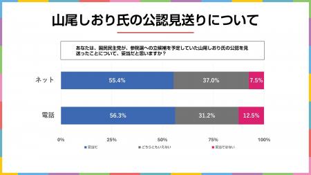 国民民主党の山尾しおり氏公認見送りは妥当？　2025年