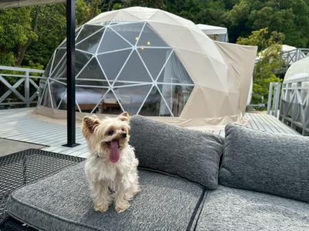 愛犬と“海辺グランピング”を満喫――「ラストピース糸島