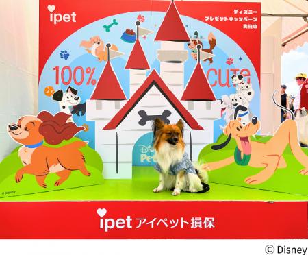 アイペット損保、ディズニーデザインのフォトスポット