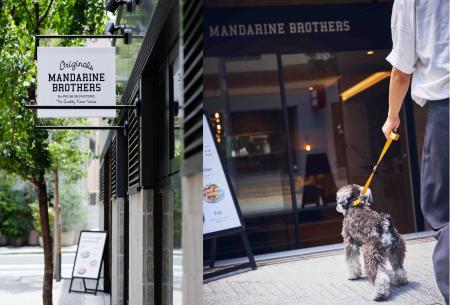 【MANDARINE BROTHERS】ペットのためのシンプルかつ遊