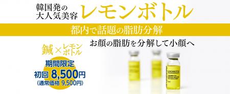 相模原市、多摩市の鍼灸院では初となる脂肪分解utf-8