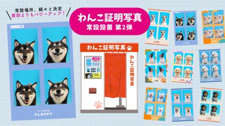 FLAFFY、大好評「わんこ証明写真」　常設スポットを順