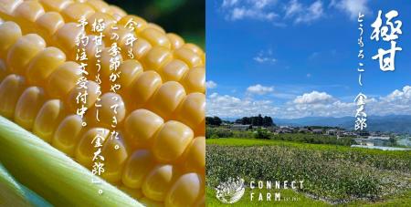 【毎年完売♪】一度食べたら忘れられない 