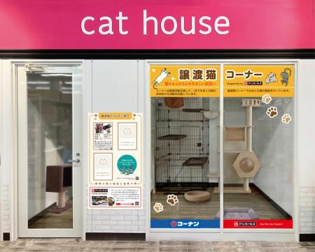 「おとな猫」専用の譲渡スペース2ケ所目を2025年utf-8